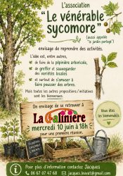 Le Jardin Partagé